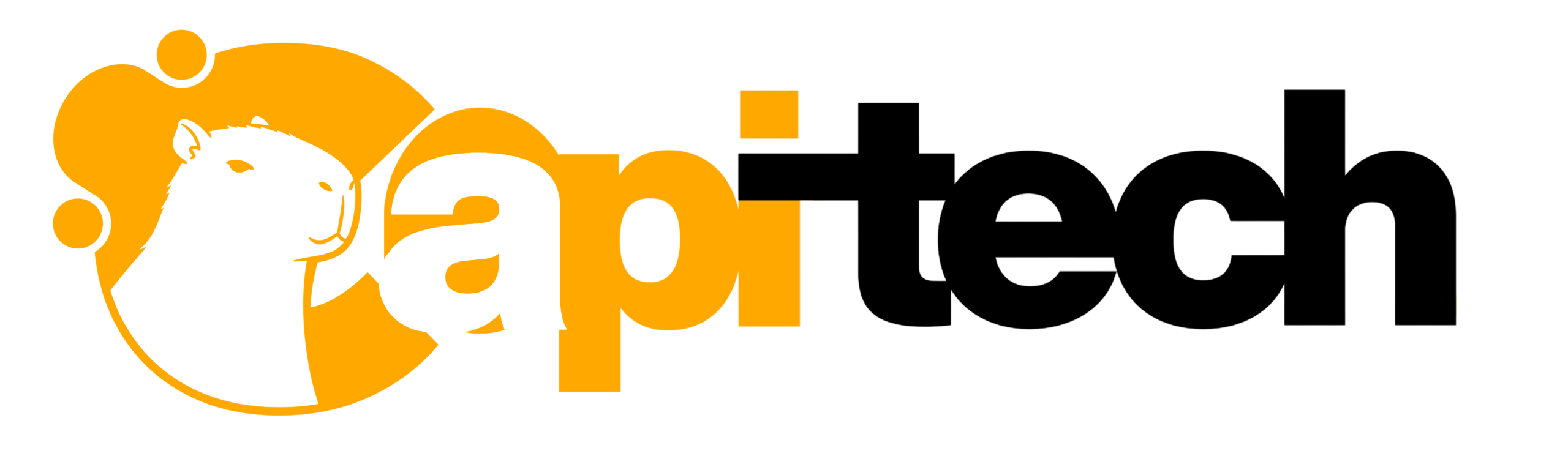 CapiTech